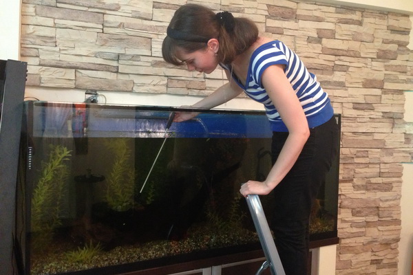 Как поменять воду в аквариуме