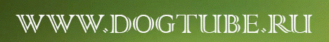 DogTube - онлайн кинотеатр собаковода