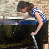 Как поменять воду в аквариуме