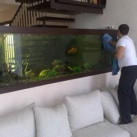Обслуживание аквариумов