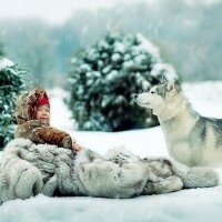 Фильмы про собак